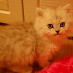 [사진多] 나의 사랑하는 동거남이야기 ♡♡♡