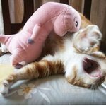 ★★★연애하고 싶다!!!!!!!!!!!!!!!!!!!!!!!!!...