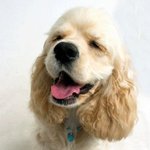 고3흔녀, 비오는날 8223번 노란버스남 찾아요!