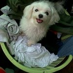 ★★★★★★★★개.드.립★★★★★★★★