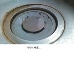 ◐●사무실 <b>탕비실</b>에서 수박이자라요●◑