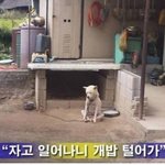 도둑좀 잡아주세요 뉴스까지나왔어요.