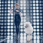 <b>2ne1</b> 뮤비 속 제일 잘나가는 모습