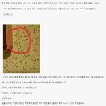 초인종 옆 범죄<b>코드</b>