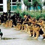 (수정)★아직은살만한세상★뽀<b>나스</b> +훈남,훈녀가되는법^^★