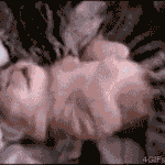 ★★★남자친구<b>or</b>남편이랑 쿨쿨 잠 잘때