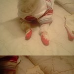 이걸...<b>신발</b>이라고....