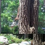 도시락 빼앗긴 사연! 유ㅁ유