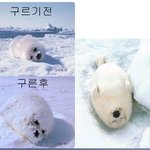 전국 <b>미혼</b> 남성, <b>미혼</b> 여성 많은 지역
