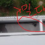 [사진有]밀대걸레의 추락사(?)