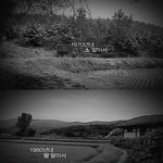 등록금 <b>의존</b>도 세계 1위 대한민국! (지식채널e)