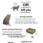 [펌]당신의고양이는 안전합니까?!