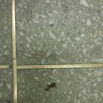 ★★ㅠㅠ엄마 누가 교실바닥에 똥싼거처럼 냄새나ㅜㅜ (사진有)