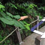 ★ <b>로드</b>뷰에 찍힌 심령사진들 ★