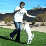 중복無 움짤모음! 3