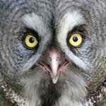 흠...... 사람도 없나<b>비네</b>.......