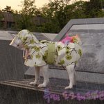 장마철 <b>이색</b> 아이템 ㅋㅋㅋ 비가와도 난 괜찮아 버전