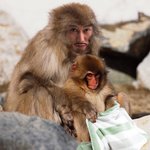 <b>명화</b>에 합성 사진 ㅋㅋㅋ