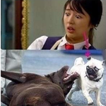 ▶▶▶ <b>동물</b> 닮은 연예인들 ◀◀◀ (추가)★