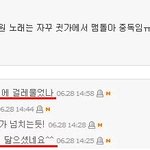 너 <b>씨엘</b>닮음