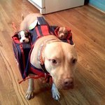 ■▶언니들 나 워터파크 가도되?◀■