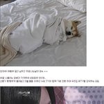 <b>세레나데</b>대작전 3회!! 정말 감동 그 자체!