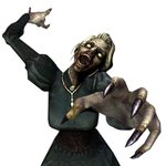 <b>FPS</b> 좀비모드라면 카스 온라인.