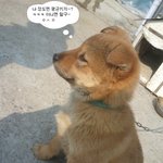 대한민국 20대 남녀 평균키!!