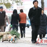 대륙의 <b>동물</b>학대