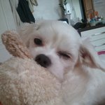 잘때마다 이상한 <b>버릇</b>있는ㅋ(+추가)