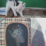 ★[사진有 多] 19살에 아가가 생겼어요★
