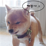 스마트폰 왜이리 안터져.. 짜증짜증 <b>lte</b> 4g가 나오면 좀 괜찮을려나...