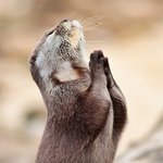 ★ 언니!오빠들! 연애하고싶지? 2탄!!!!!!!!!!!!!!!...