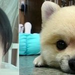 님들 <b>이석훈</b>이라고 아세요ㅠㅠ? 왜케 훈훈함????