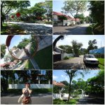 (수정)여자혼자 떠난 싱가폴여행 사진有有