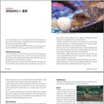 <b>코리</b>도라스책