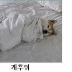 오늘 왜리 춥냐 <b>와나</b> 개춥네