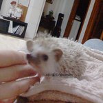 ♥[사진스압] 나도 내새끼자랑할래요!!♥