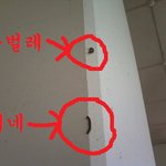 ♨♨♨♨♨♨ 우리학교 오실래요 ? ♨♨♨♨♨♨