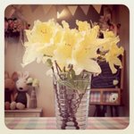 1년차 맞벌이 부부의 알콩달콩 이야기 (사진)