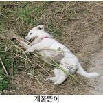 <b>신검</b>이라니 개풀뜯어먹는소리...ㅡ.ㅡ