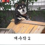 어디서 집이 싫다고 <b>질질</b>짜고있어