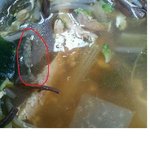 ▷▶▷▶우와.. 급식에 애벌레국이...?◀◁◀◁