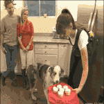 좋아하는 여자가 좋은사진 보냄21