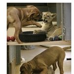 크면두고<b>보자</b>..