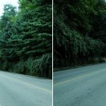 거침없이 하이킹 했어요. (흔녀의 지역자랑)