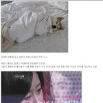 이런프로포즈 어떨까요? <b>mnet</b> 세레나데 대작전 3회~