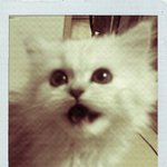 ★★★!!!사진 [有] 공개<b>구혼</b>합니다!!★★★