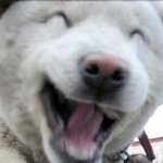 <b>황금</b>같은 금요일... 이글좀 봐주세요 ...