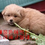 ★지하철 <b>매너</b>손에 대해 20살 풋내기가 끄적거려봅니다☆
